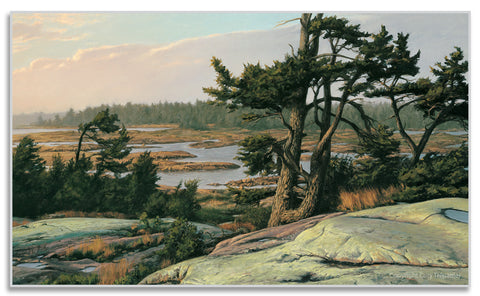 Approaching Dusk (Framed)